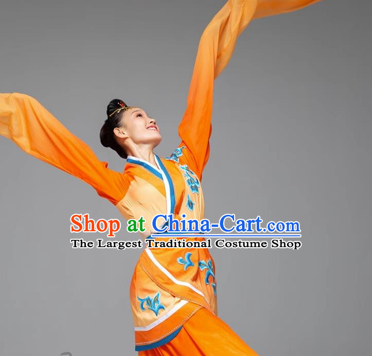 Classical Dance Water Sleeve Dance Costume Jade Dance Long Water Sleeve National Performance Costume