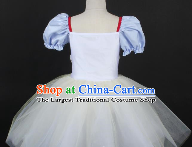 Children Female Adult Ballet Dance Dress Princess Dress Flower Girl Stage Costume Performance Costume