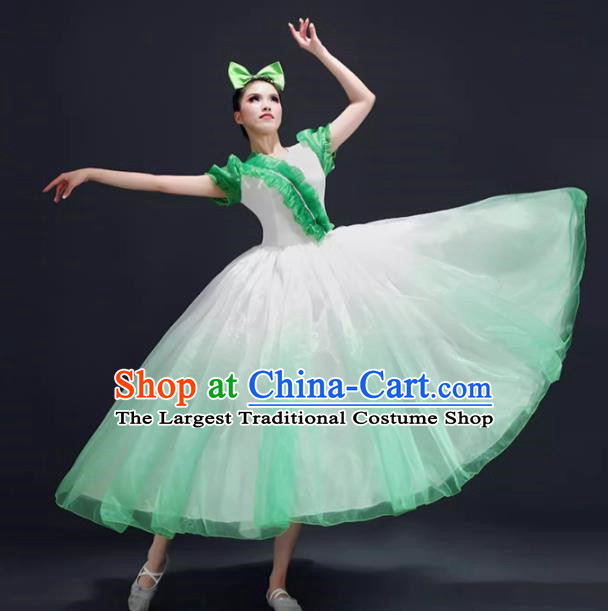 Opening Dance Big Swing Skirt Performance Costume Female Modern Dance Costume Song and Dance Performance Costume Classical Stage Long Skirt