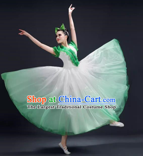 Opening Dance Big Swing Skirt Performance Costume Female Modern Dance Costume Song and Dance Performance Costume Classical Stage Long Skirt