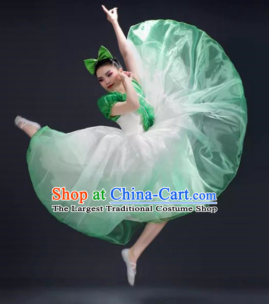 Opening Dance Big Swing Skirt Performance Costume Female Modern Dance Costume Song and Dance Performance Costume Classical Stage Long Skirt