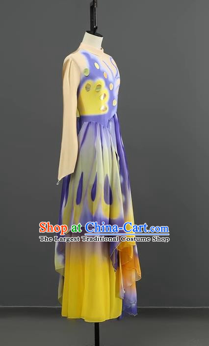 Classical Dance Performance Costume Female Elegant Fan Dance Eighteen Huan Butterfly Art Test Dance Costume Purple