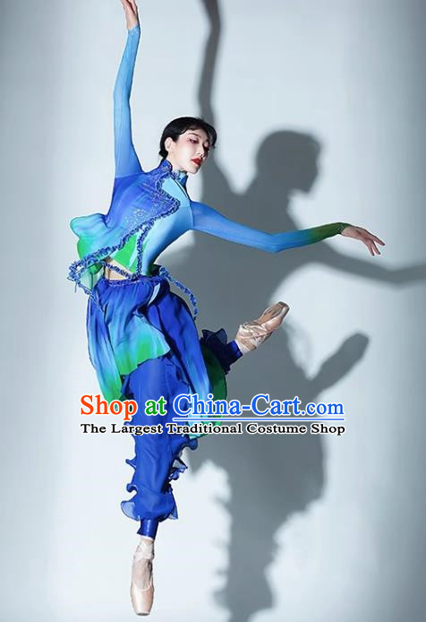 A Big River Dance Costume Fan Dance Costume Suit Performance Costume Classical Dance Practice Suit