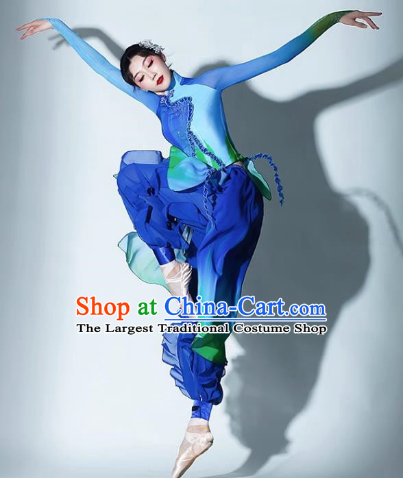 A Big River Dance Costume Fan Dance Costume Suit Performance Costume Classical Dance Practice Suit