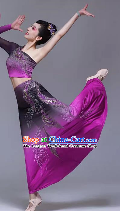 Dai Costume Female Xishuangbanna Children Dai Dance Costume Art Examination Dai Dance Performance Costume Dai Dance Skirt