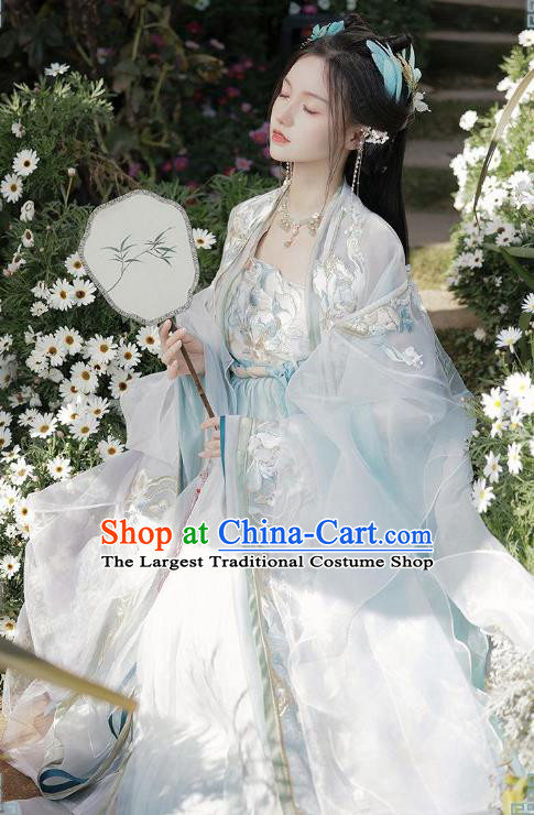 Chinese Ancient Goddess Clothing Hanfu Hezi Qun Tang Dynasty Princess Dresses