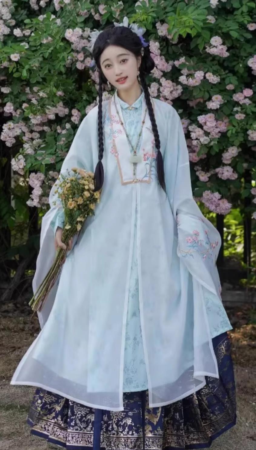 Traditional Chinese Costume Ming Dynasty Hanfu Embroidery Cape Long Gown and Horse Face Skirt Complete Set