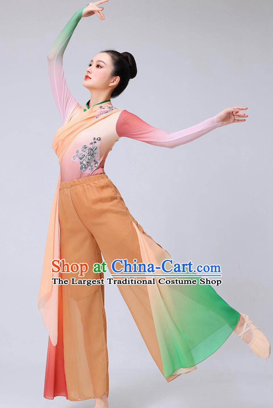 Riverside Reed Blossom Dance Costume Chinese Classical Dance Fan Performance Clothing Women Group Dance Outfit
