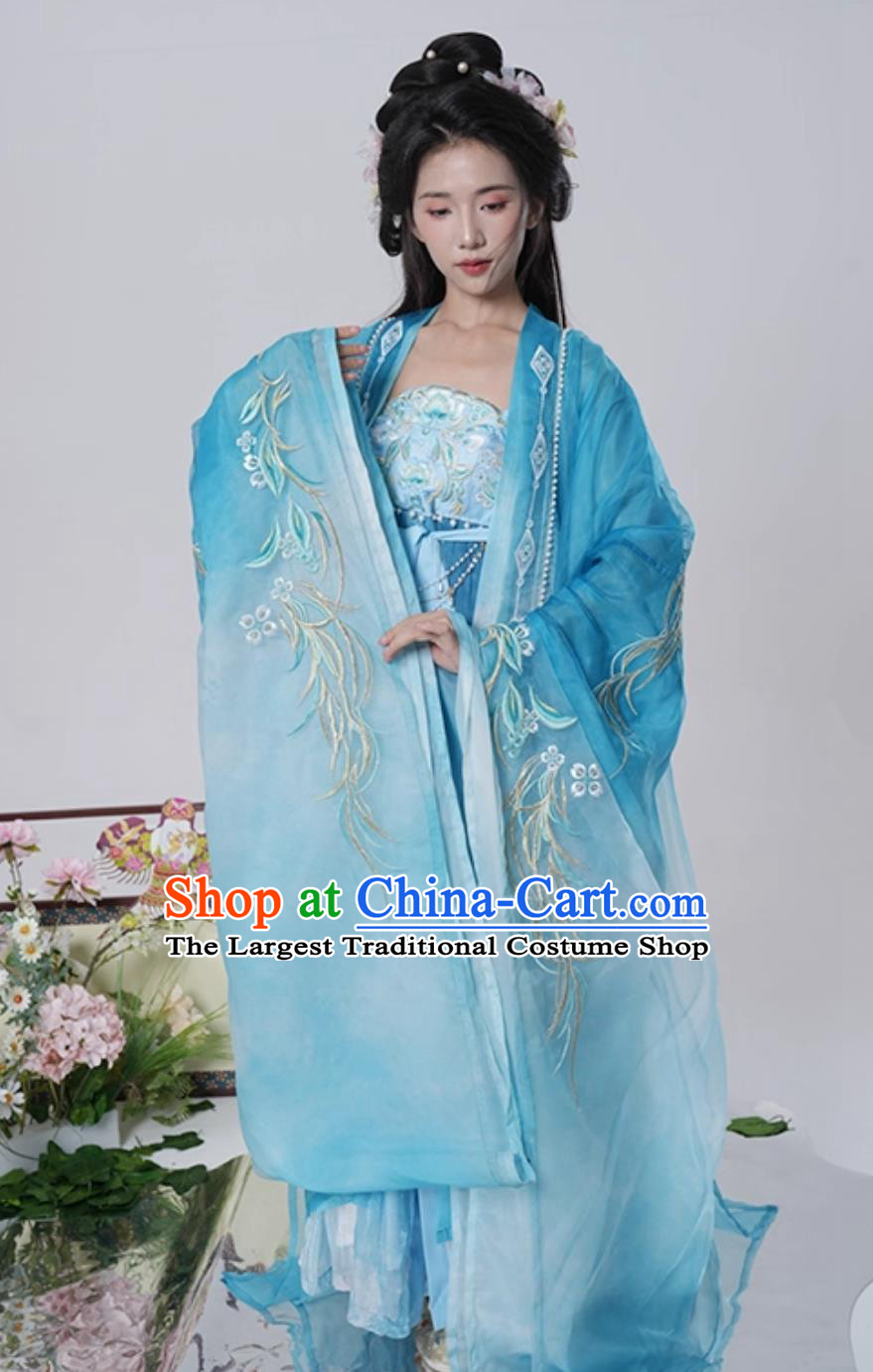 Tang Dynasty Hezi Qun Wide Sleeve Cloak Ancient Fairy Embroidery Blue Dress Traditional Chinese Women Hanfu