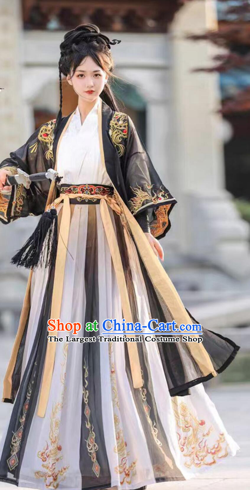 Chinese Song Dynasty Hanfu Traditional Wuxia Costumes Embroidery Swordswoman Clothing