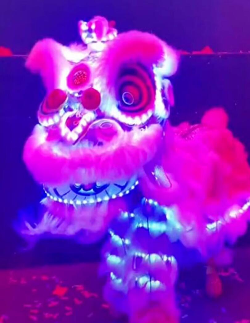 Wool Southern Lion Head Chinese Lion Dance Prop Hok San Lion Remote Control Light Up Lion Dance Costume